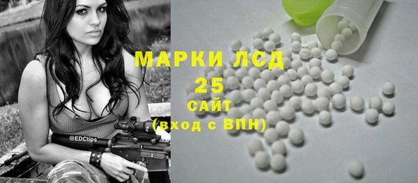 гидра Пересвет