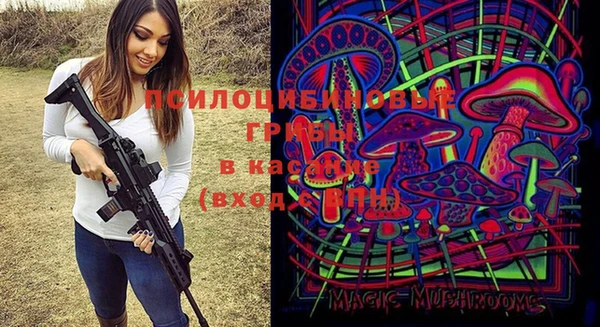 амф Переславль-Залесский