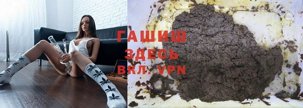 гидра Пересвет