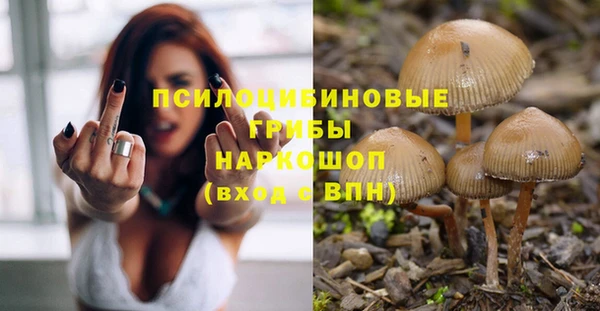 амф Переславль-Залесский