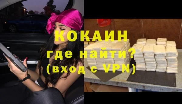 гидра Пересвет